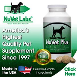 Pet Suppliment